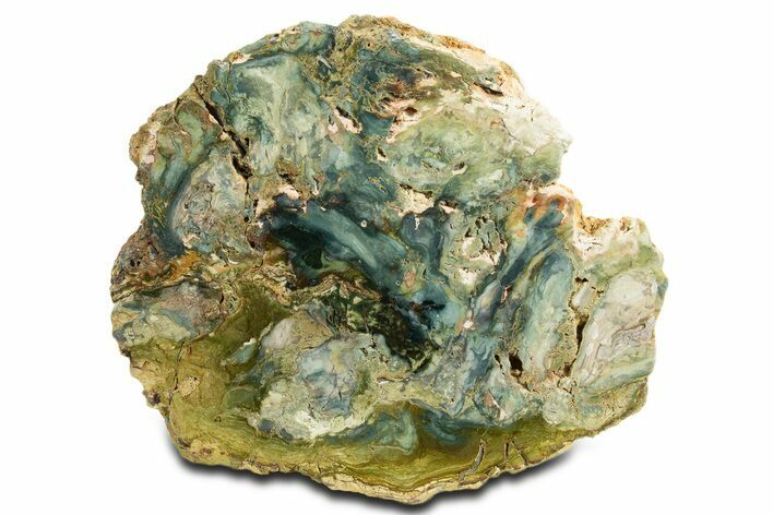 Free-Standing, Gary Green Jasper (Larsonite) Bog Wood - Oregon #334806